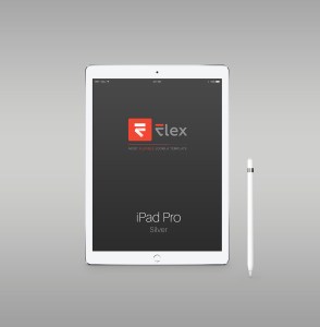 flex-iPad-Pro-silver